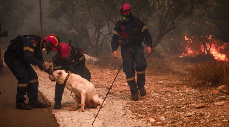 Αναζωπύρωση στην περιοχή “Ερυθρός” στη Νέα Μάκρη – «Απειλεί σπίτια στα 600 μέτρα» λένε οι κάτοικοι