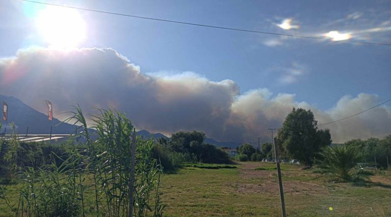 Φωτιά στον Βαρνάβα: Προς Σταμάτα το πύρινο μέτωπο – Οι φλόγες ξεπερνούν τα 25 μέτρα – Ισχυρές δυνάμεις στο φράγμα Μαραθώνα