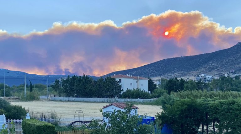 Φωτιά: Στα 500 μέτρα οι φλόγες από τα πρώτα σπίτια στο Γραμματικό – Έφτασε στη Διώνη στο Πικέρμι το πύρινο μέτωπο