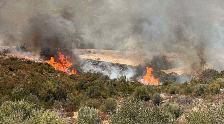 Καίγονται τα φυτώρια του Μαραθώνα, στα 150 μέτρα από τα σπίτια οι φλόγες (βίντεο)