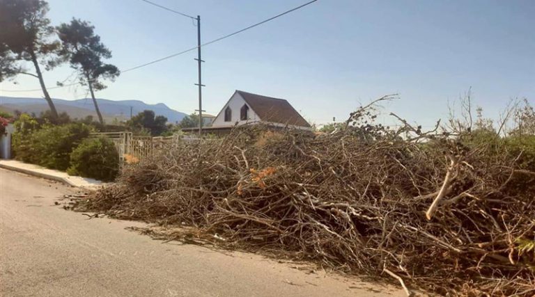 Κοντά σε νέο Μάτι: Τα ξερόκλαδα-εστίες πυρκαγιάς πνίγουν τον δήμο Μαραθώνα!