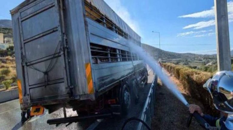 Πυροσβέστες έσωσαν ζώα από το φλεγόμενο φορτηγό στην Ιόνια Οδό!