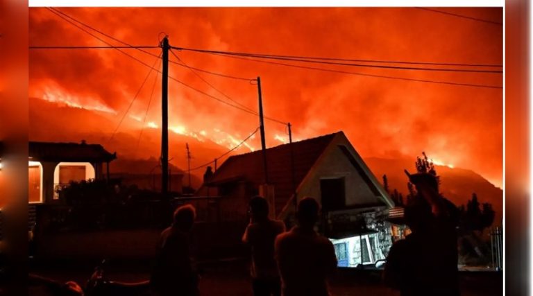 Φωτιά στην Κορινθία: Πρόστιμο 3.000 ευρώ στον αντιδήμαρχο που κάπνιζε τα μελίσσια του