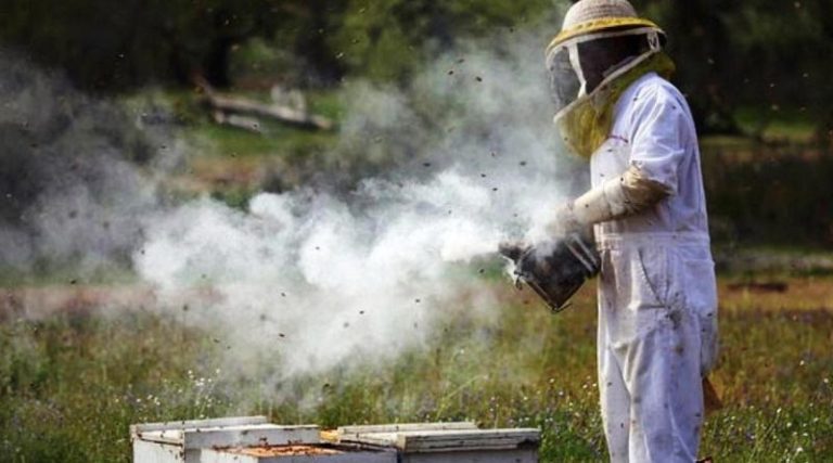 Πρόστιμο σε αντιδήμαρχο γιατί κάπνιζε μελίσσια την ημέρα που ξεκίνησε η φωτιά στο Ξυλόκαστρο!