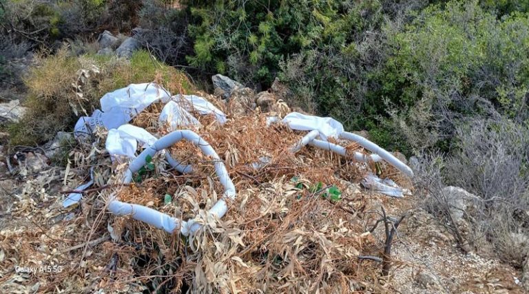 Ραφήνα: Πέταξαν μέχρι και στεφάνια από κηδεία σε δάσος στην Καλλιτεχνούπολη! (φωτό)