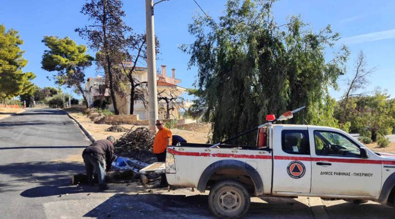 Πικέρμι: Απομακρύνθηκε το δέντρο που έπεσε σε δρόμο στο Ντράφι (φωτό)